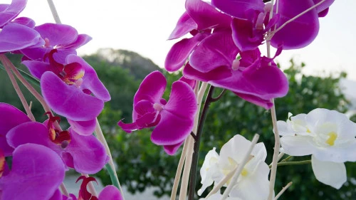  Terrazza Ristorante La Perla 