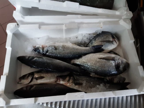  Piatti Ristorante La Perla 